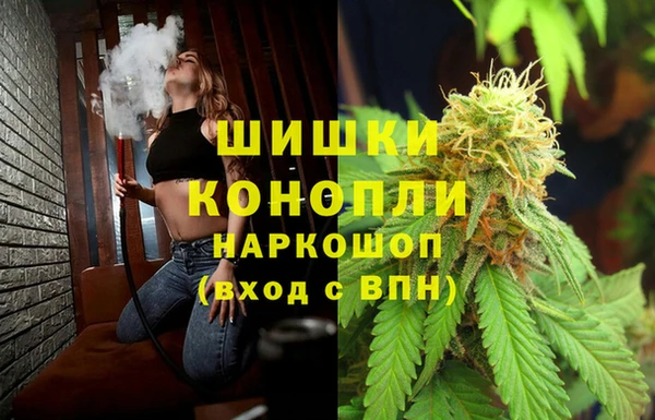 молекула духа Алзамай