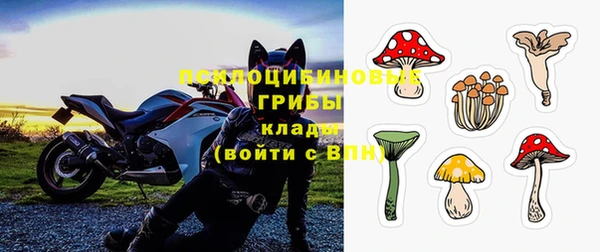 молекула духа Алзамай